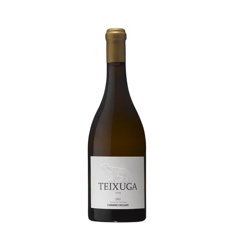 Teixuga-Branco