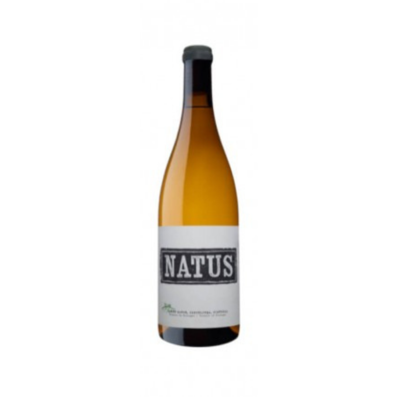 Vinho Natus Branco