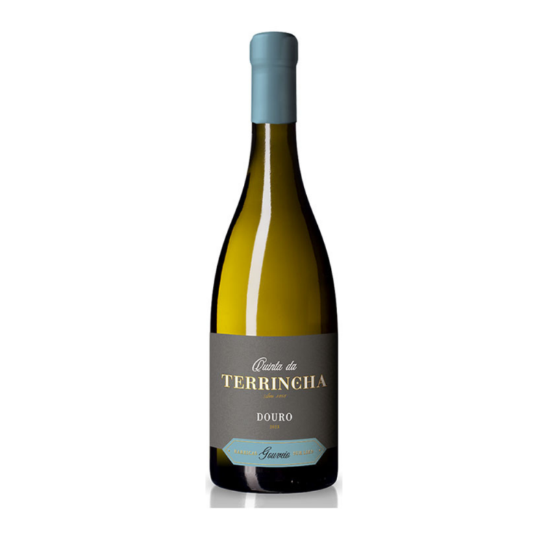 Vinho Quinta da Terrincha Gouveio Barricas