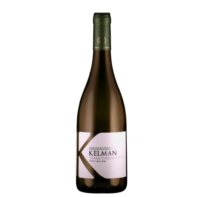 kelman_encruzado_(1)